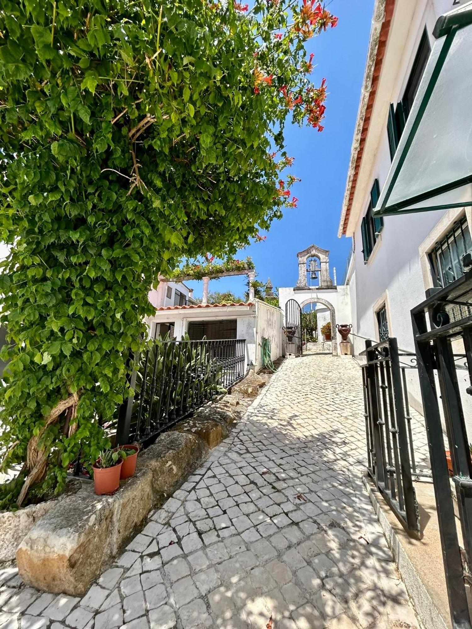 Traditional Portuguese Village House - Casa Martins No 52 Freiria Exterior foto